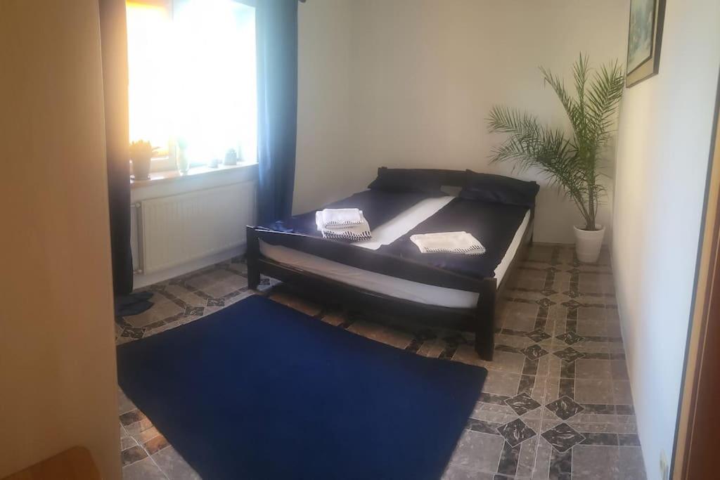 Babciahouse Villa Augustow Ngoại thất bức ảnh